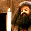 169 icons hagrid