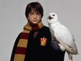 /album/promo-fotky/harry-potter-wallpaper-harry-potter-24474157-1024-768-jpg/
