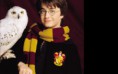 /album/promo-fotky/harry-potter-wallpaper-harry-potter-24474162-1440-900-jpg/